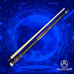 Allin Custom P01